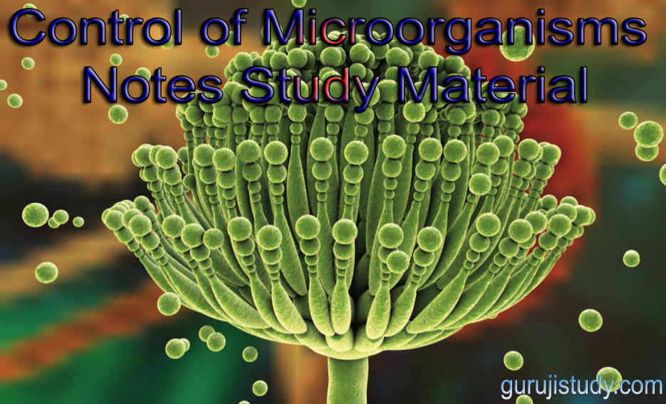 Control Of Microorganisms Notes And Study Material