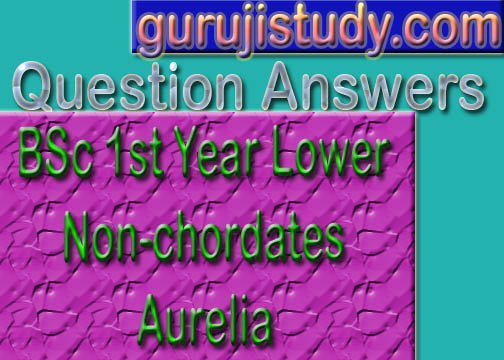 BSc 1st Year Lower Non-chordates Aurelia Sample Model Practice Question Answer Papers