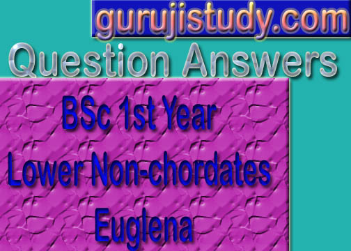 BSc 1st Year Lower Non-chordates Euglena Sample Model Practice Question Answer Papers