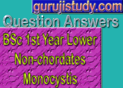 BSc 1st Year Lower Non-chordates Monocystis Sample Model Practice Question Answer Papers