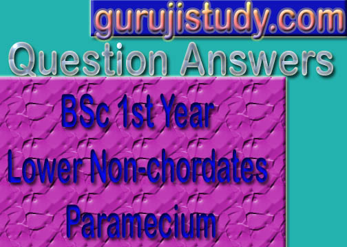 BSc 1st Year Lower Non-chordates Paramecium Sample Model Practice Question Answer Papers