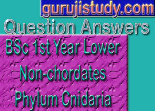 BSc 1st Year Lower Non chordates Phylum Cnidaria Sample Model Practice Question Answer Papers