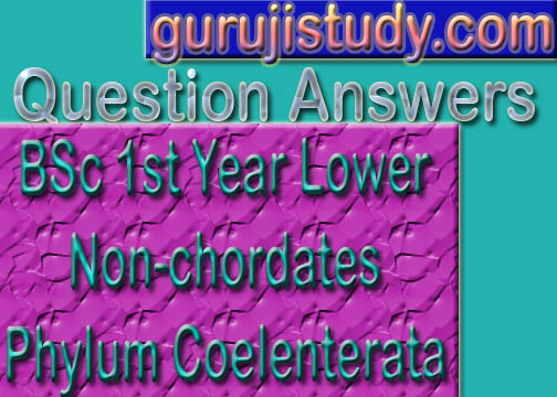 BSc 1st Year Lower Non chordates Phylum Coelenterata Sample Model Practice Question Answer Papers