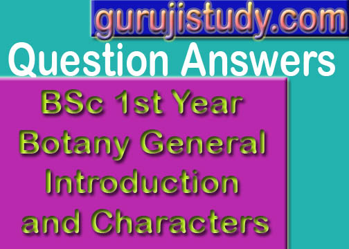 BSc 1st Year Botany General Introduction and Characters Sample Model Practice Question Answer Papers