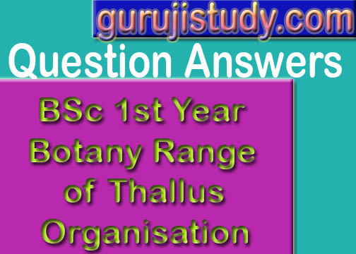 BSc 1st Year Botany Range of Thallus Organisation Sample Model Practice Question Answer Papers