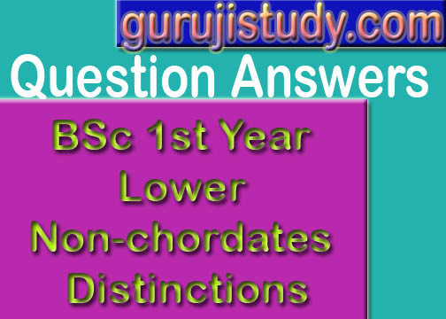 BSc 1st Year Lower Non-chordates Distinctions Sample Model Practice Question Answer Papers