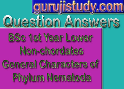 BSc 1st Year Lower Non-chordates General Characters of Phylum Nematoda Sample Model Practice Question Answer Papers
