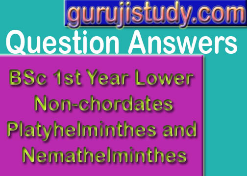 BSc 1st Year Lower Non-chordates Platyhelminthes and Nemathelminthes Question Answers