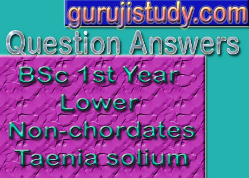BSc 1st Year Lower Non-chordates Taenia Solium Sample Model Practice Question Answer Papers