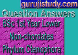 BSc 1st Year Lower Non-chordates Phylum Ctenophora Sample Model Practice Question Answer Papers