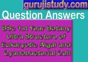 BSc 1st Year Botany Eukaryotic Algal Cell Sample Model Practice Question Answer Papers