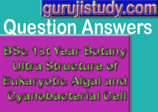BSc 1st Year Botany Ultra Structure of Eukaryotic Algal and Cyanobacterial Cell Sample Model Practice Question Answer Papers