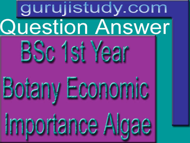 BSc 1st Year Botany Economic Importance Algae Sample Model Practice Question Answer Papers