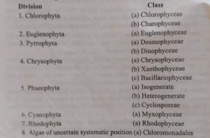BSc 1st Year Botany Classification of Algae And Characteristic Features of Algal Groups Sample Model Practice Question Answer Papers