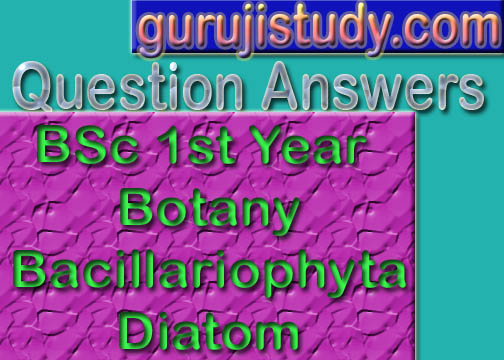 BSc 1st Year Botany Bacillariophyta Diatom Sample Model Practice Question Answer Papers