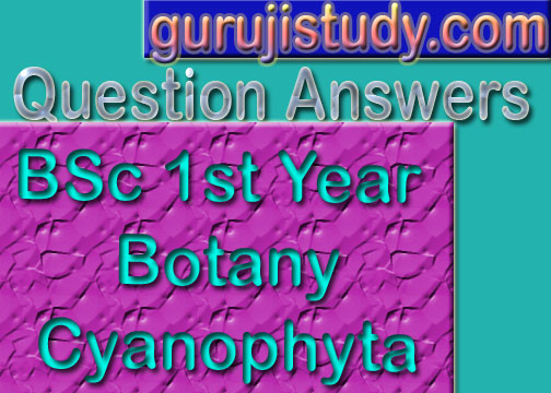 BSc 1st Year Botany Cyanophyta Sample Model Practice Question Answer Papers