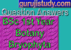 BSc 1st Year Botany General Characters of Bryophyta Sample Model Practice Question Answer Papers