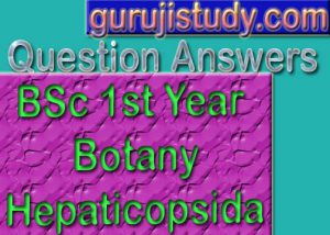 BSc 1st Year Botany Hepaticopsida Sample Model Practice Question Answer Papers