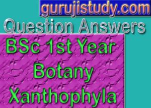 BSc 1st Year Botany Xanthophyla Sample Model Practice Question Answer Papers