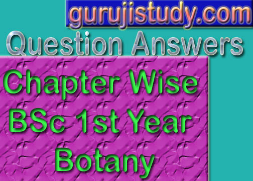 Chapter Wise BSc 1st Year Botany Sample Model Practice Question Answer Papers