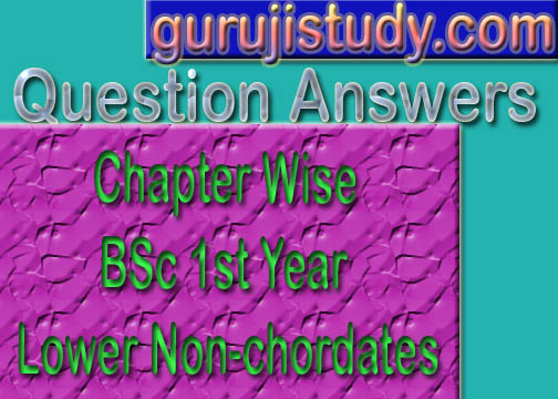Chapter Wise BSc 1st Year Lower Non-chordates Question Answers