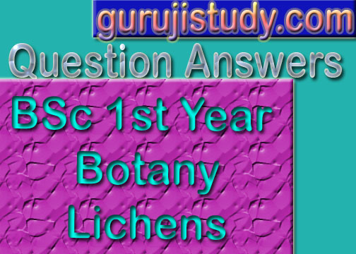 BSc 1st Year Botany Lichens Sample Model Practice Question Answer Papers