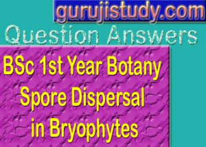 BSc 1st Year Botany Spore Dispersal in Bryophytes Sample Model Practice Question Answer Papers
