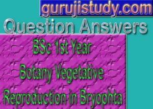 BSc 1st Year Botany Vegetative Reproduction in Bryophyta Sample Model Practice Question Answer Papers