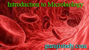 BSc Introduction to Microbiology Notes Study Material