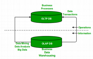 BCA Introduction to OLAP and OLTP Notes Study Material