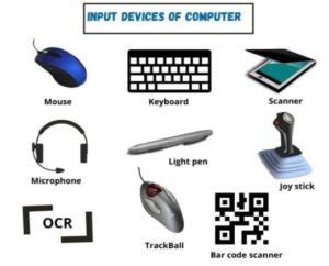BCA 1st Year Input Devices of Computer Notes Study Material